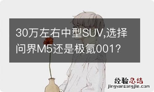 30万左右中型SUV,选择问界M5还是极氪001?