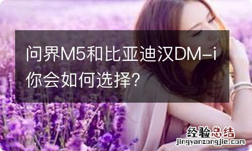 问界M5和比亚迪汉DM-i你会如何选择?