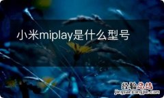 小米miplay是什么型号