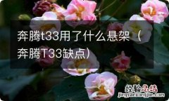 奔腾T33缺点 奔腾t33用了什么悬架