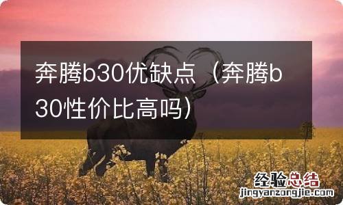 奔腾b30性价比高吗 奔腾b30优缺点