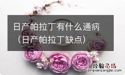 日产帕拉丁缺点 日产帕拉丁有什么通病