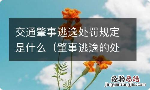 肇事逃逸的处罚规定 交通肇事逃逸处罚规定是什么