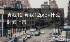 真我12 真我12pro+什么时候上市