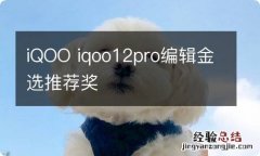 iQOO iqoo12pro编辑金选推荐奖