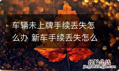 车辆未上牌手续丢失怎么办 新车手续丢失怎么补办未办理牌照