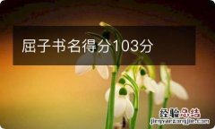 屈子书名得分103分