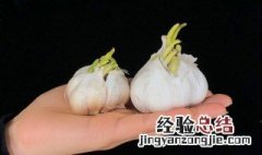 大蒜辣手了怎么办 大蒜辣手了怎么办?