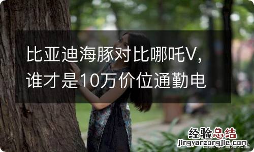 比亚迪海豚对比哪吒V，谁才是10万价位通勤电车之王？