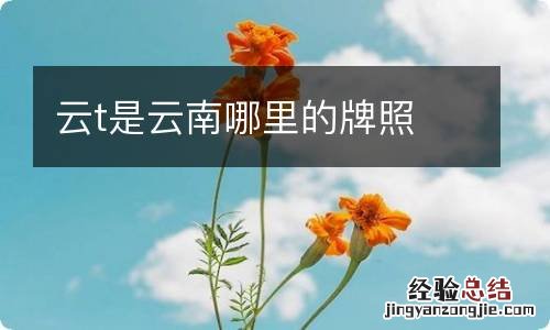 云t是云南哪里的牌照