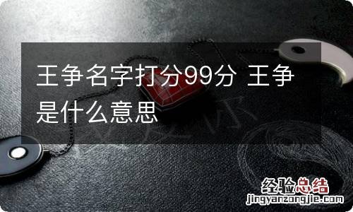 王争名字打分99分 王争是什么意思