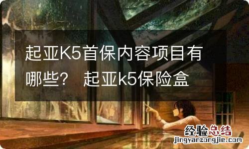 起亚K5首保内容项目有哪些？ 起亚k5保险盒