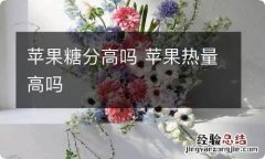 苹果糖分高吗 苹果热量高吗