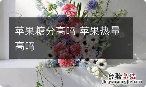 苹果糖分高吗 苹果热量高吗