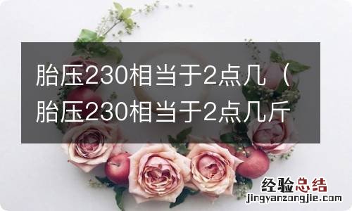 胎压230相当于2点几斤 胎压230相当于2点几