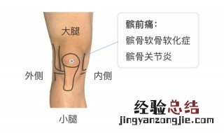 胫骨是哪个部位 髌骨是哪个部位