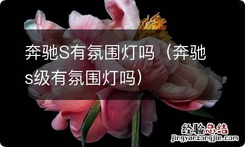 奔驰s级有氛围灯吗 奔驰S有氛围灯吗