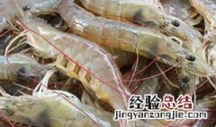 生虾可以放冰箱冷藏吗 生虾可以直接放冰箱保鲜吗