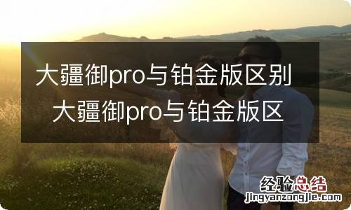 大疆御pro与铂金版区别大疆御pro与铂金版区别有什么