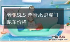 奔驰SLS 奔驰sls鸥翼门跑车价格