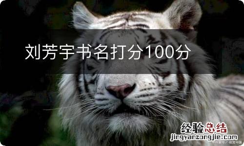 刘芳宇书名打分100分