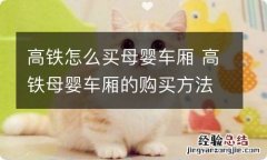 高铁怎么买母婴车厢 高铁母婴车厢的购买方法