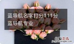 蓝导航名字打分111分 蓝导航专业