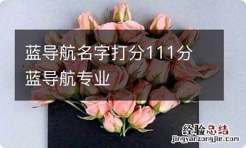 蓝导航名字打分111分 蓝导航专业