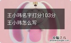 王小玮名字打分103分 王小玮怎么写