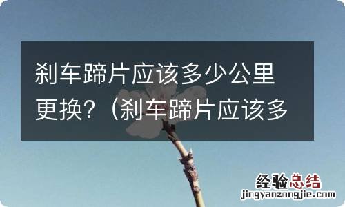 刹车蹄片应该多少公里更换好 刹车蹄片应该多少公里更换?