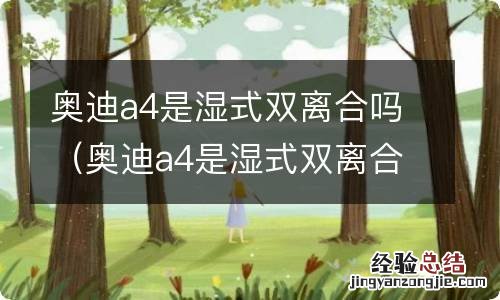 奥迪a4是湿式双离合吗值得买吗 奥迪a4是湿式双离合吗
