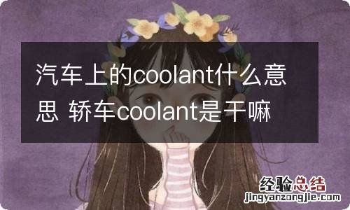 汽车上的coolant什么意思 轿车coolant是干嘛的?