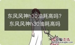 东风风神h30油耗高吗? 东风风神h30油耗高吗知乎