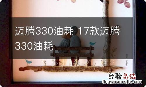 迈腾330油耗 17款迈腾330油耗