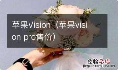 苹果vision pro售价 苹果Vision