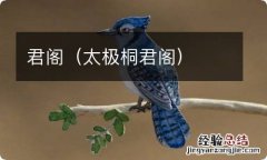 太极桐君阁 君阁