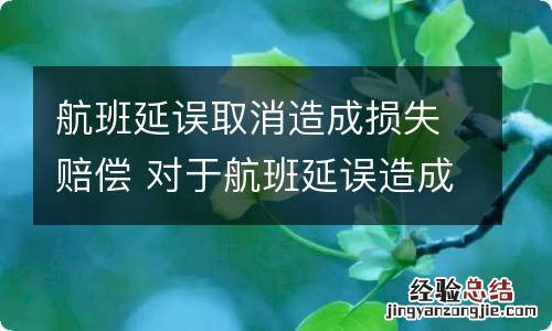 航班延误取消造成损失赔偿 对于航班延误造成损失的赔偿多少