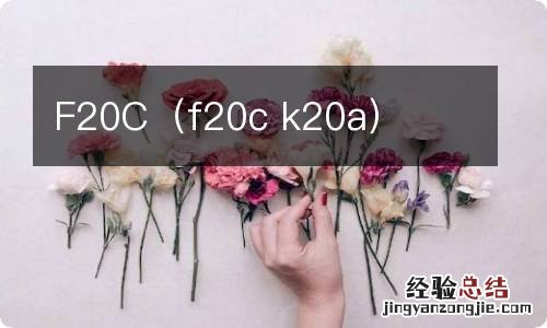 f20c k20a F20C