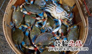 海蟹死了冷藏能放多久不坏 海蟹死了冷藏能放多久