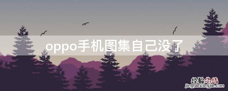 oppo手机图集自己没了