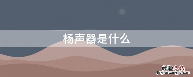 杨声器是什么