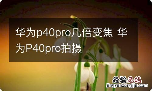 华为p40pro几倍变焦 华为P40pro拍摄