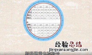 尺码260是多少码 260是多少码