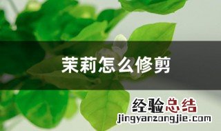 茉莉花剪枝的方法 4种修剪技巧让茉莉花快速爆盆