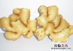 孩子食物中毒怎么办? 孩子食物中毒怎么办