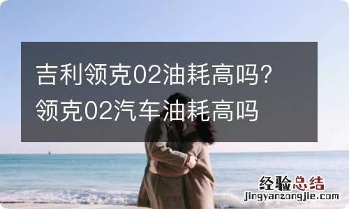 吉利领克02油耗高吗? 领克02汽车油耗高吗
