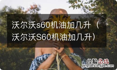 沃尔沃S60机油加几升 沃尔沃s60机油加几升