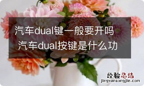 汽车dual键一般要开吗 汽车dual按键是什么功能