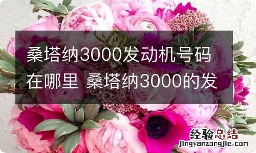 桑塔纳3000发动机号码在哪里 桑塔纳3000的发动机号在哪儿