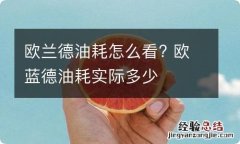 欧兰德油耗怎么看? 欧蓝德油耗实际多少